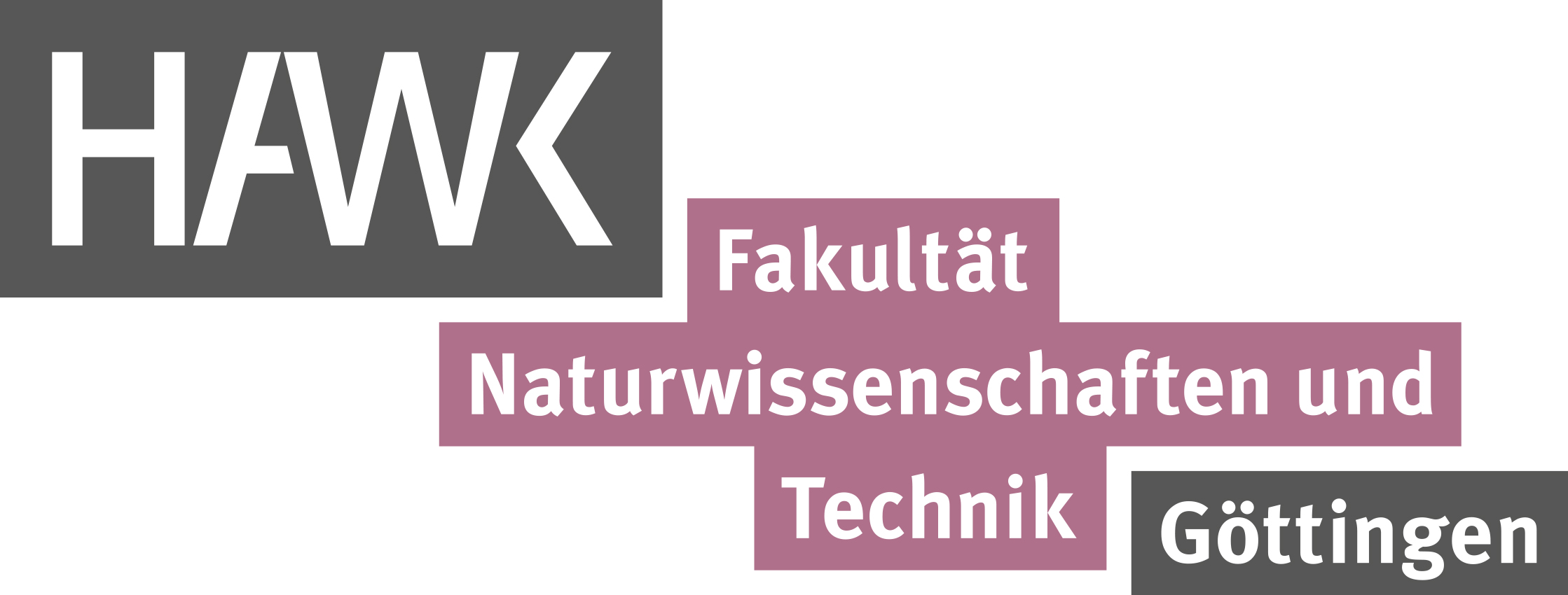 Logo HAWK Fakultät N